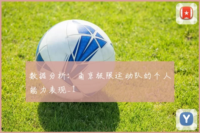 数据分析：南京极限运动队的个人能力表现_1