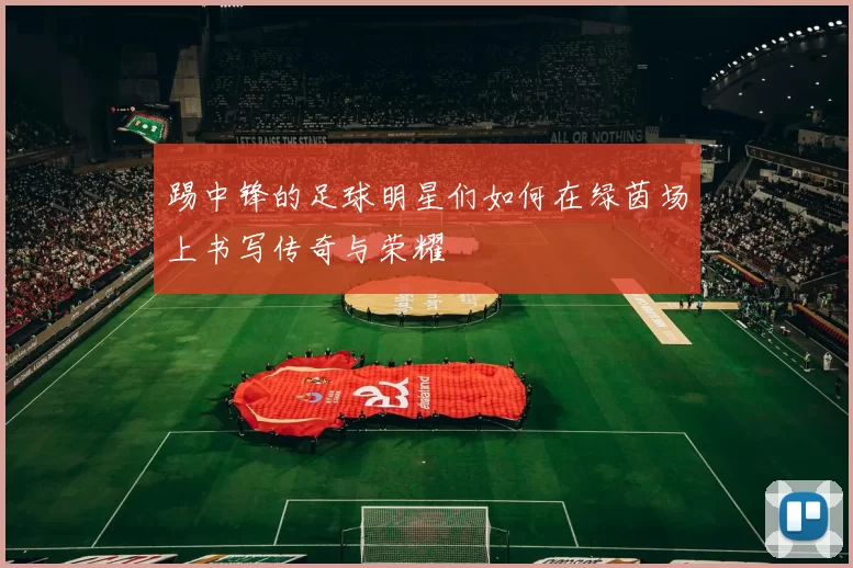 踢中锋的足球明星们如何在绿茵场上书写传奇与荣耀